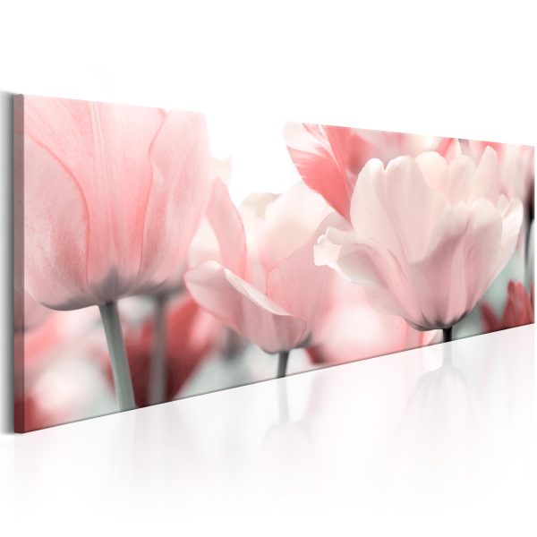 Obraz – Pink Tulips Obraz – Pink Tulips