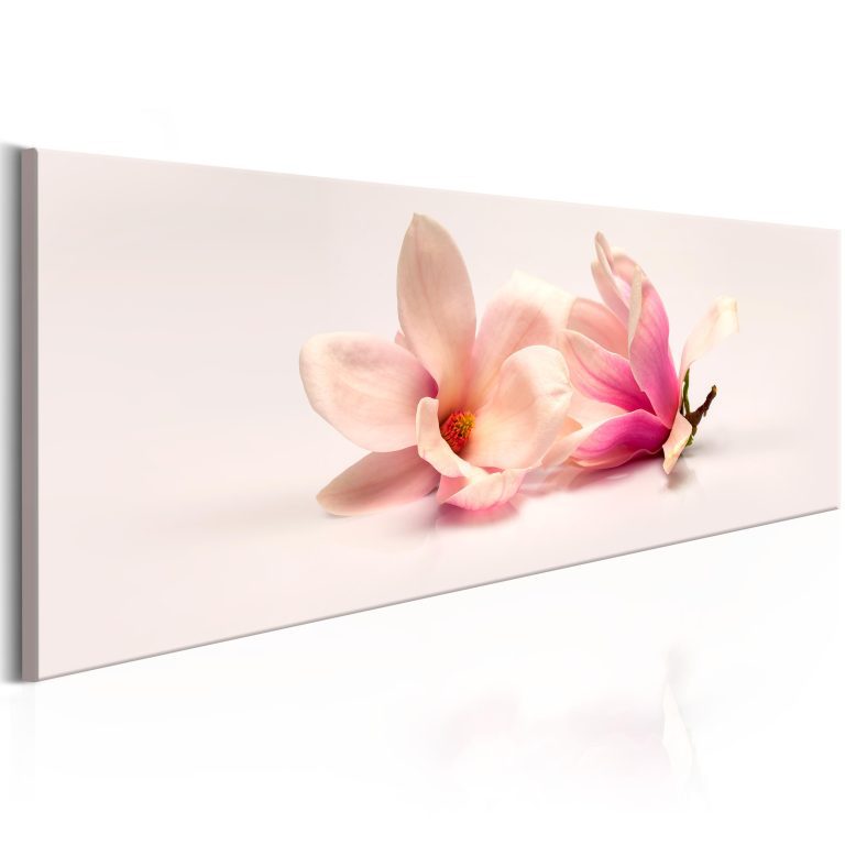 Obraz – Beautiful Magnolias Obraz – Beautiful Magnolias