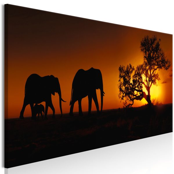 Obraz – Elephant at Sunset Obraz – Elephant at Sunset