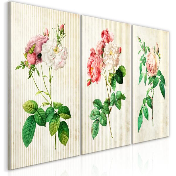 Obraz – Floral Trio (Collection) Obraz – Floral Trio (Collection)
