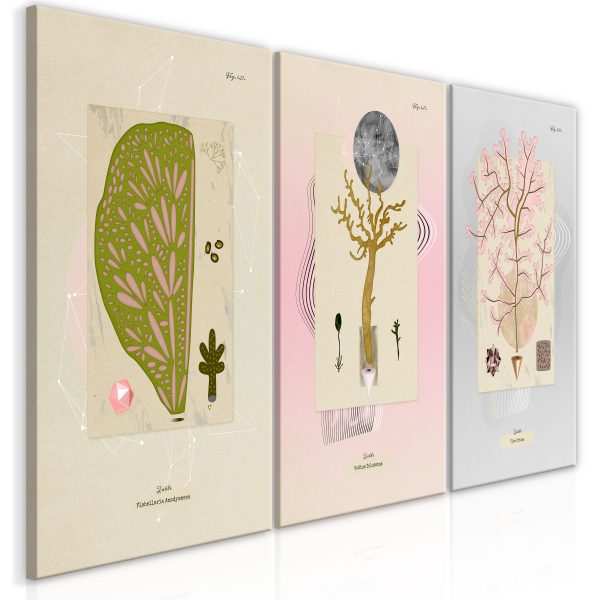 Obraz – Trees (Collection) Obraz – Trees (Collection)