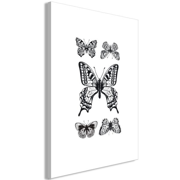 Obraz – Five Butterflies (1 Part) Vertical Obraz – Five Butterflies (1 Part) Vertical