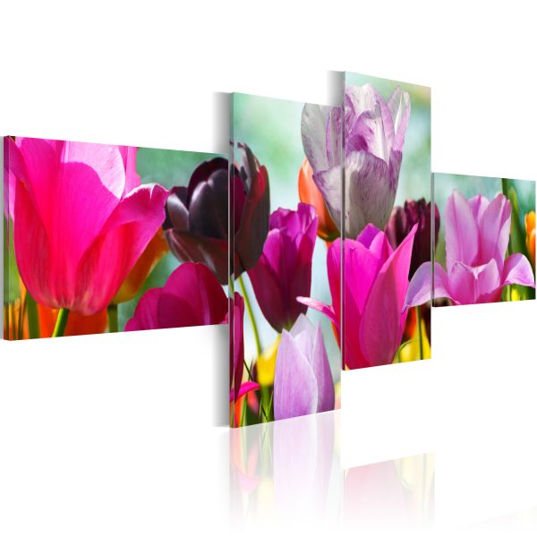 Obraz – Růžové tulipány Obraz – Růžové tulipány