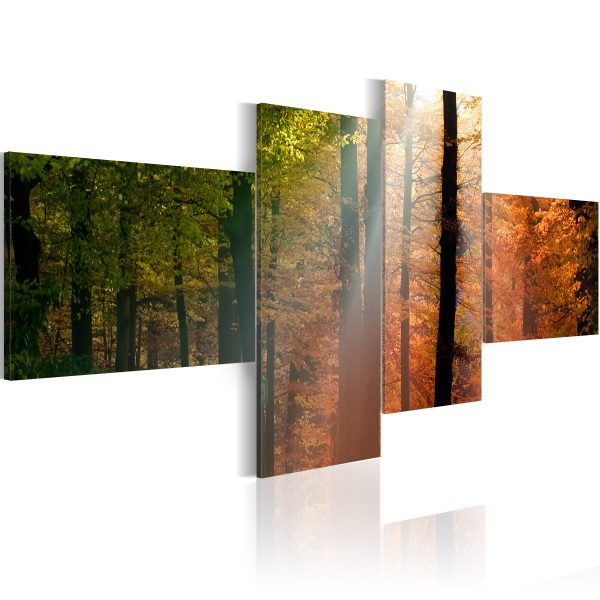 Obraz – Pohled na podzimní les Obraz – Pohled na podzimní les
