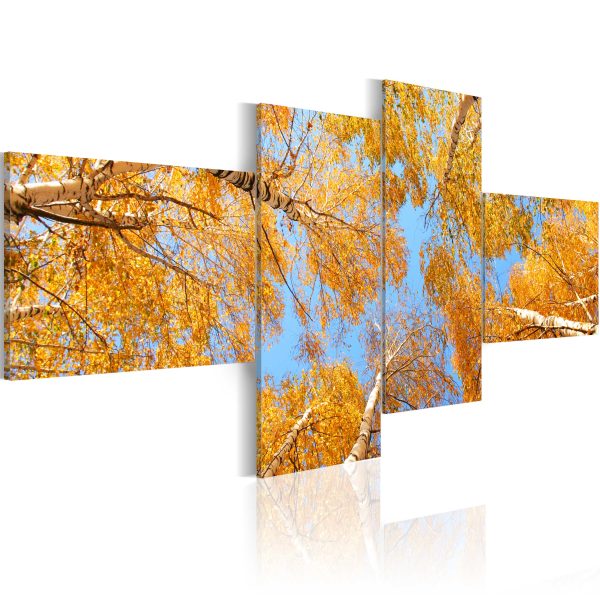 Obraz – Podzimní les Obraz – Podzimní les
