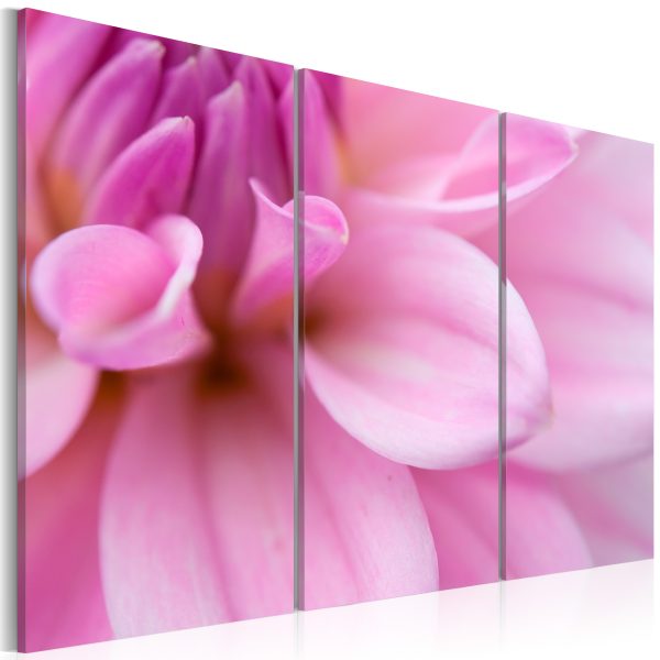 Obraz – Pink Lily Obraz – Pink Lily