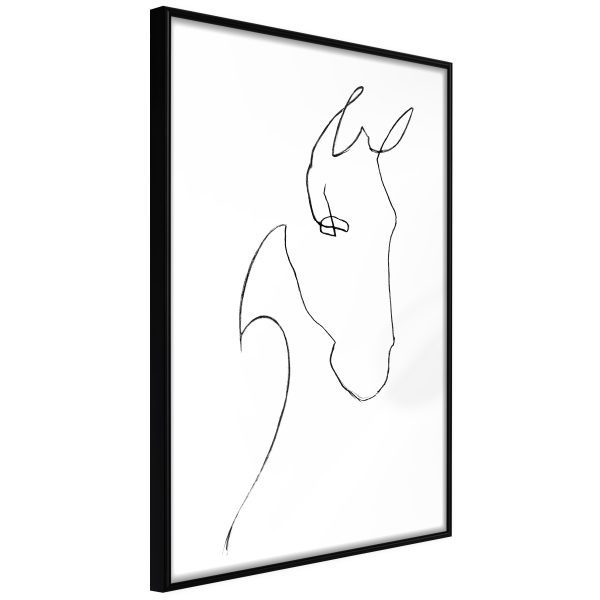 Sketch of a Horse’s Head Sketch of a Horse’s Head