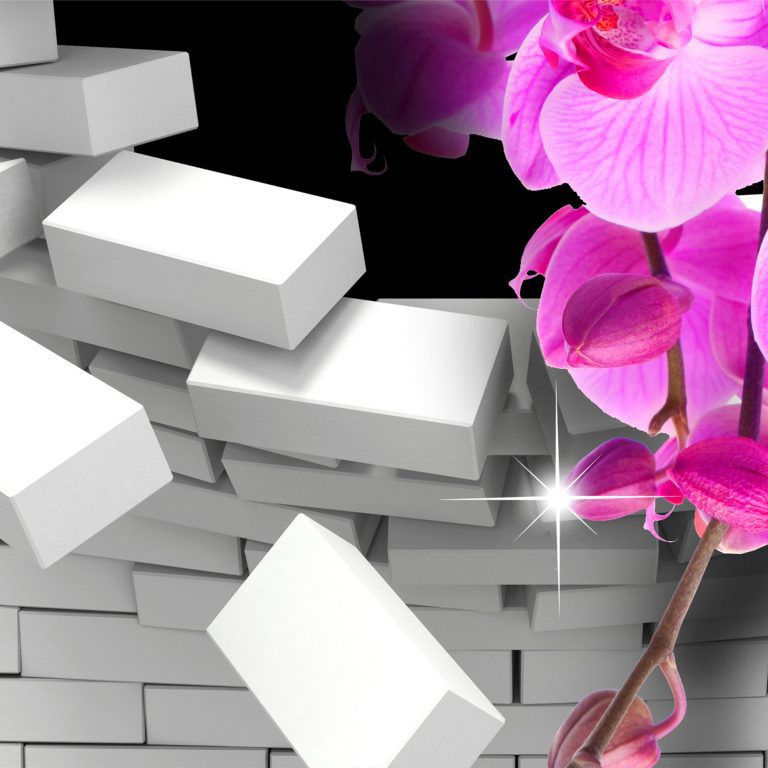Luxusní obraz – orchidej Luxusní obraz – orchidej