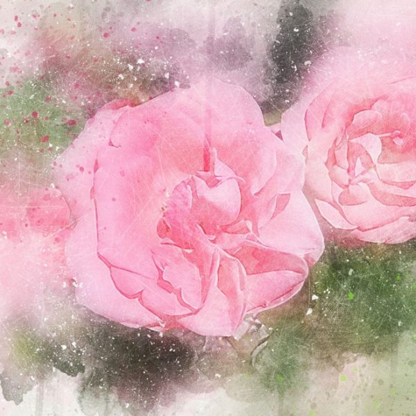 Malovaný obraz – růžové květy Malovaný obraz – růžové květy
