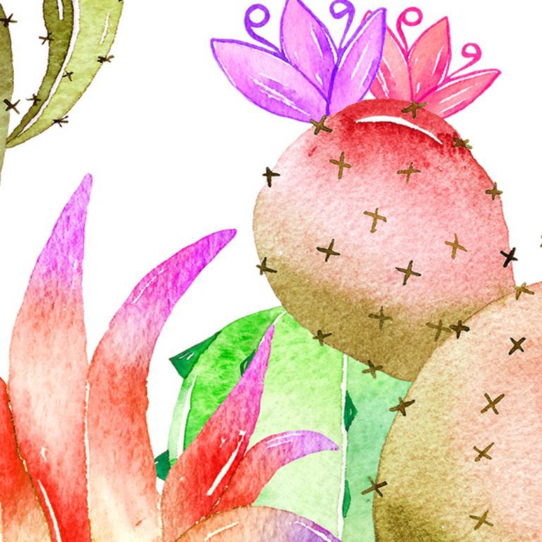 Obraz barevné kaktusy Obraz barevné kaktusy