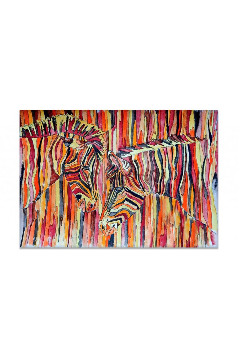 Obraz barevné zebry Obraz barevné zebry