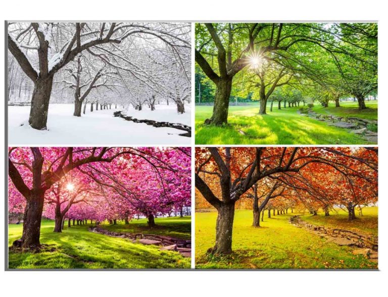 Obraz čtvero ročních období Obraz čtvero ročních období