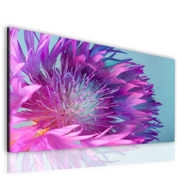 Obraz fialový květ Obraz fialový květ