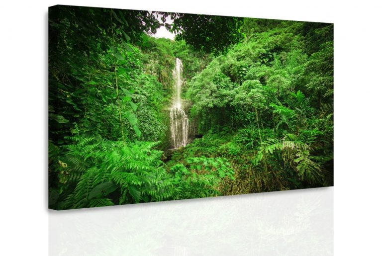 Obraz – Lesní vodopád Obraz – Lesní vodopád