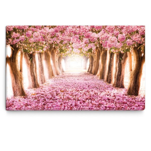 Obraz na plátně – kvetoucí stromy Obraz na plátně – kvetoucí stromy