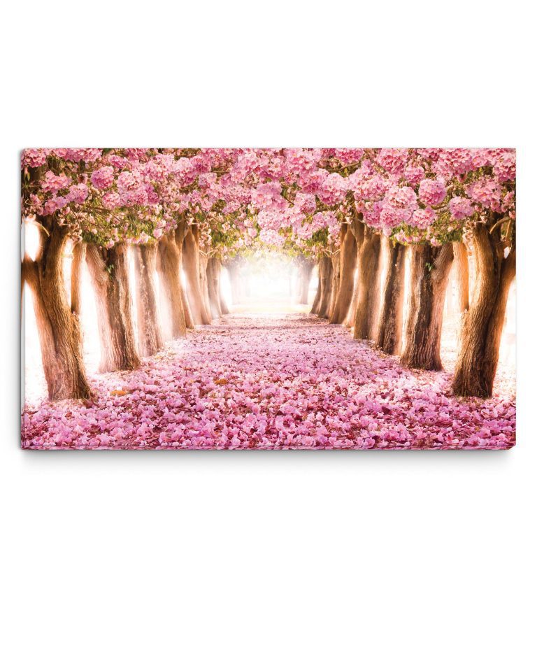 Obraz na plátně – kvetoucí stromy Obraz na plátně – kvetoucí stromy