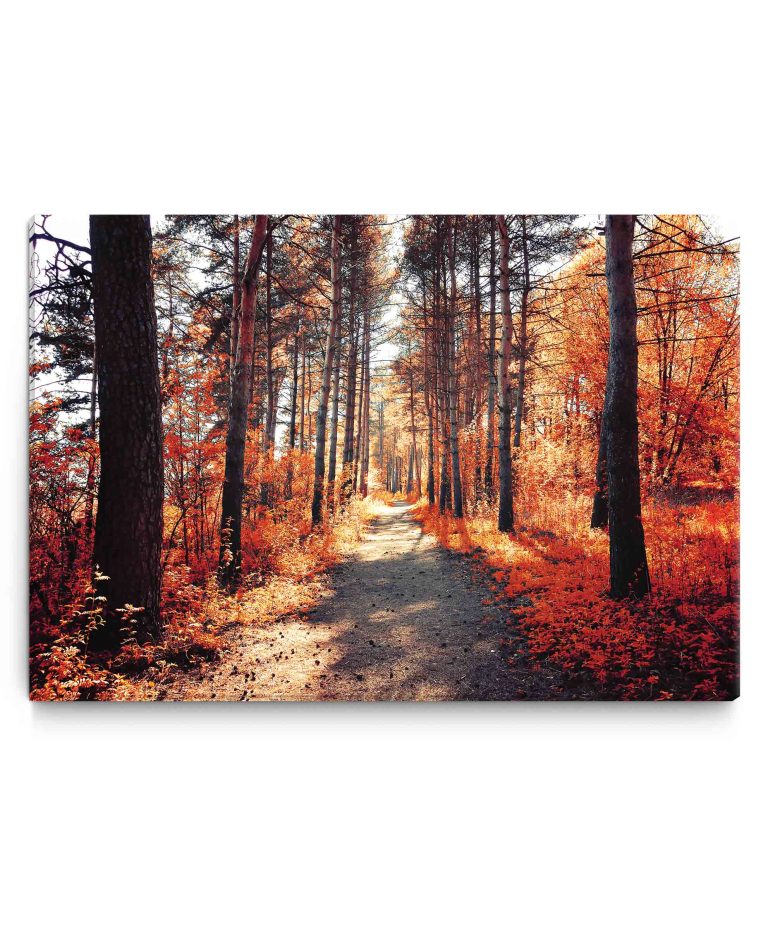 Obraz na plátně – podzimní procházka Obraz na plátně – podzimní procházka