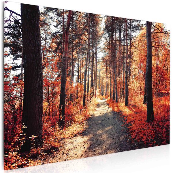 Obraz na plátně – podzimní procházka Obraz na plátně – podzimní procházka
