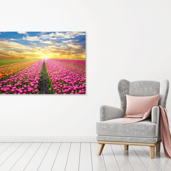 Obraz na stěnu – barevné tulipány Obraz na stěnu – barevné tulipány