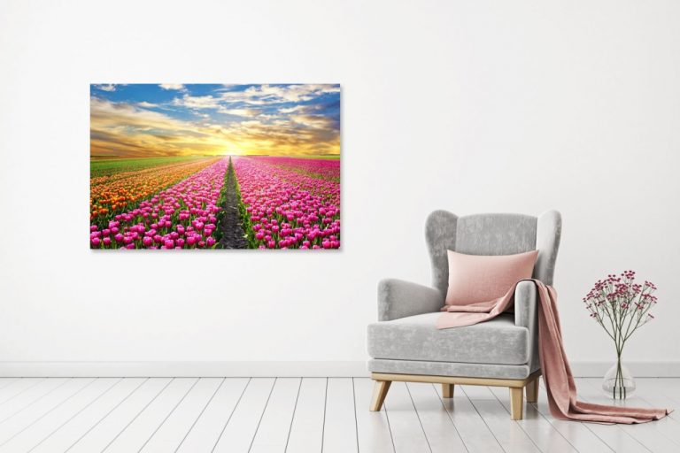Obraz na stěnu – barevné tulipány Obraz na stěnu – barevné tulipány