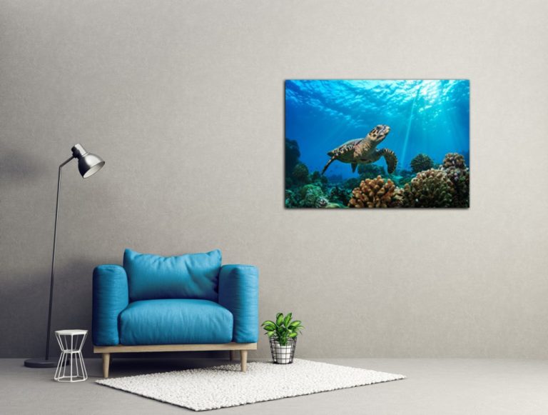 Obraz na stěnu – mořská želva Obraz na stěnu – mořská želva
