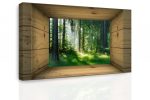 Obraz – Okno do lesa Obraz – Okno do lesa