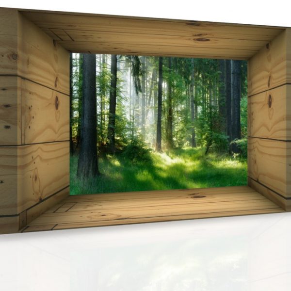 Obraz – Okno do lesa Obraz – Okno do lesa