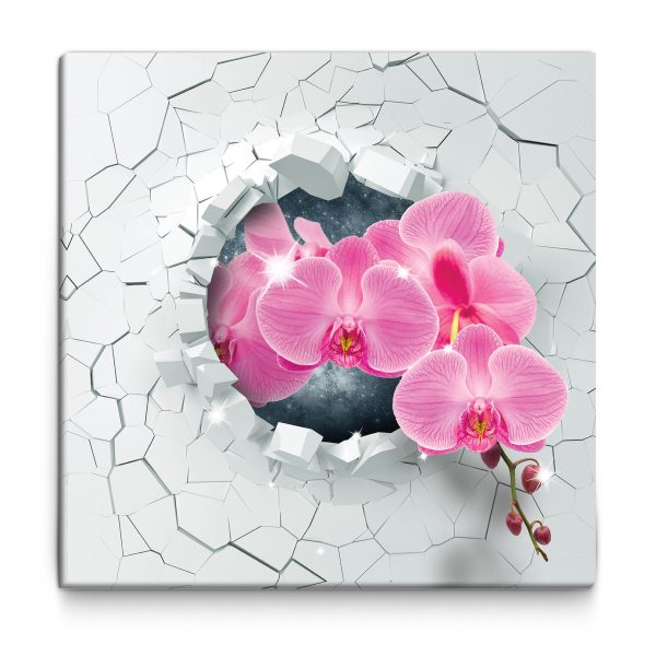 Obraz – orchidej Obraz – orchidej