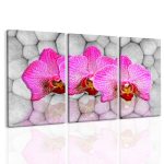 Obraz orchideje na kamenech Obraz orchideje na kamenech
