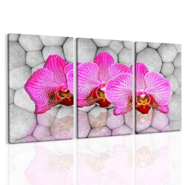 Obraz orchideje v růžové vlně Obraz orchideje v růžové vlně