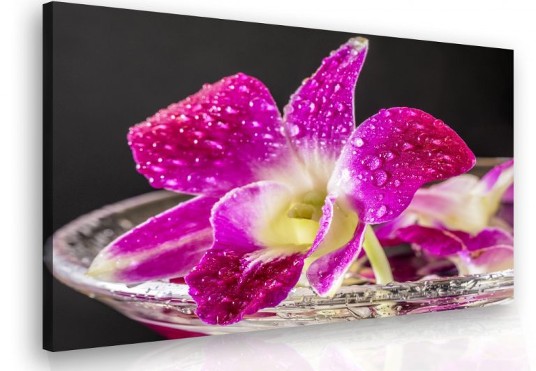 Obraz – orchidej fialová Obraz – orchidej fialová