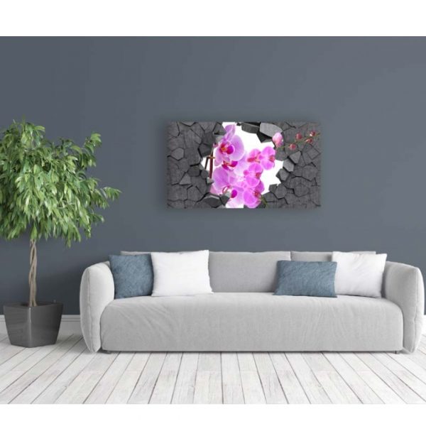 Obraz orchidej ve zdi Obraz orchidej ve zdi