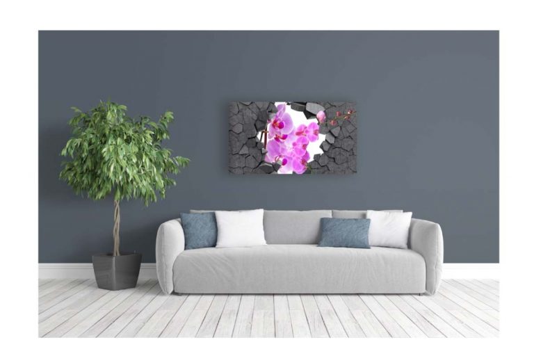 Obraz orchidej ve zdi Obraz orchidej ve zdi