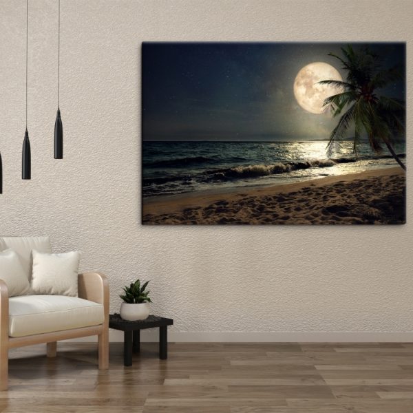 Obraz Pláž s palmou při měsíci Obraz Pláž s palmou při měsíci