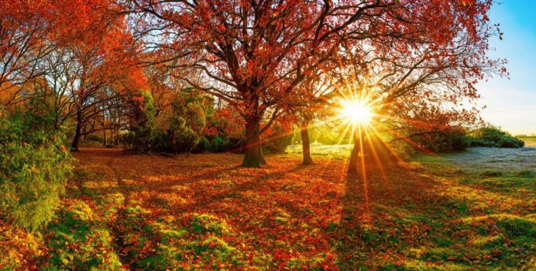 Obraz – Podzimní slunce Obraz – Podzimní slunce