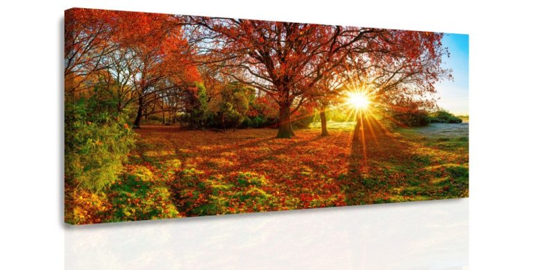 Obraz – Podzimní slunce Obraz – Podzimní slunce