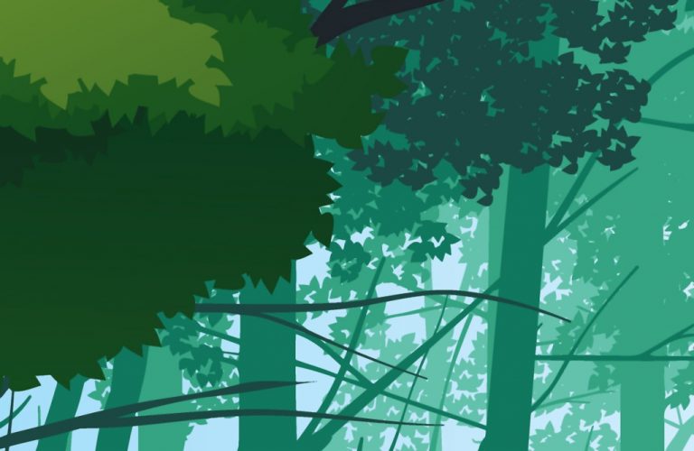 Obraz – Pohádkový les Obraz – Pohádkový les