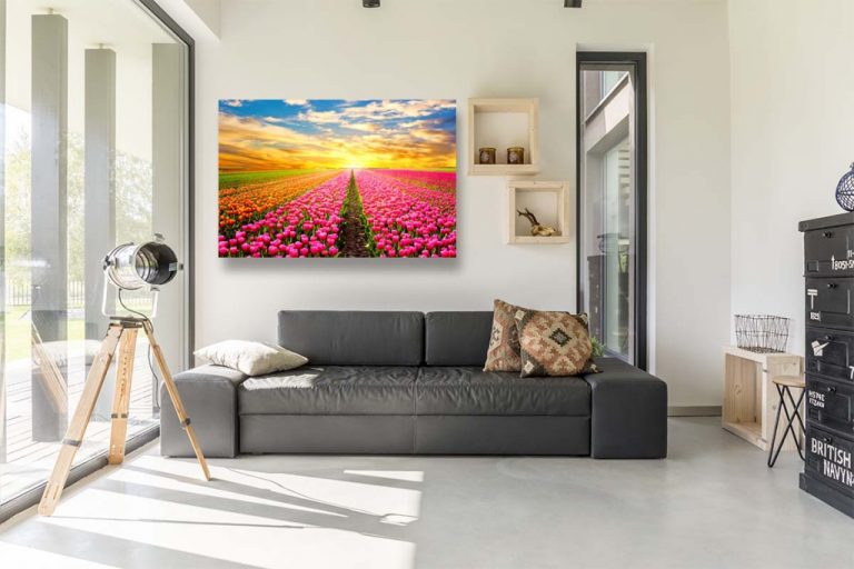 Obraz ráj tulipánů Obraz ráj tulipánů