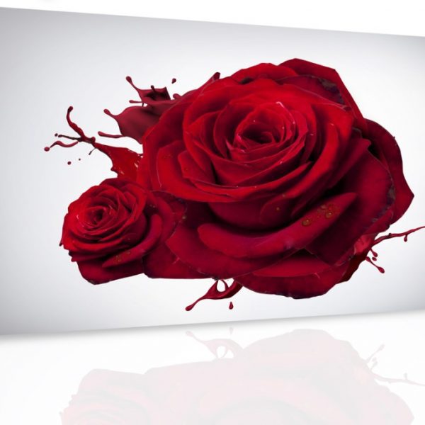 Obraz – Růže Obraz – Růže