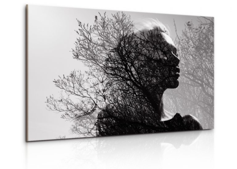 Obraz silueta dívky se vzorem stromu Obraz silueta dívky se vzorem stromu