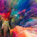Obraz slon štěstí Obraz slon štěstí