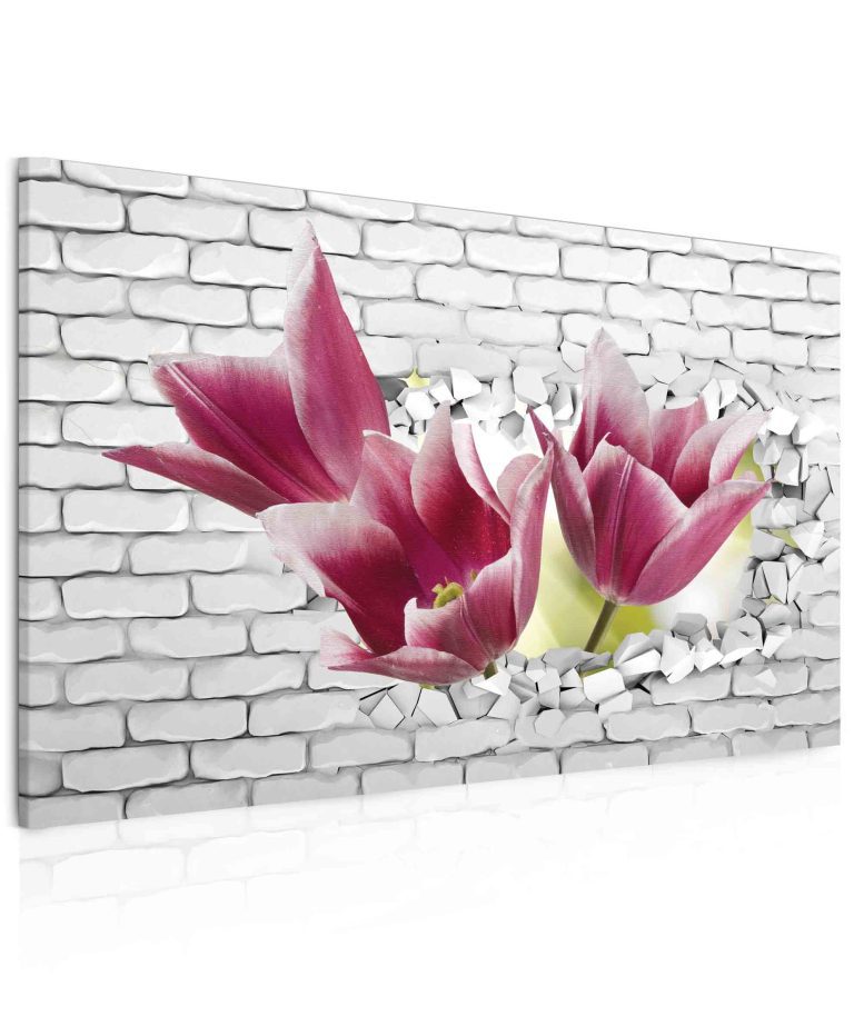 Obraz tulipány ve zdi Obraz tulipány ve zdi