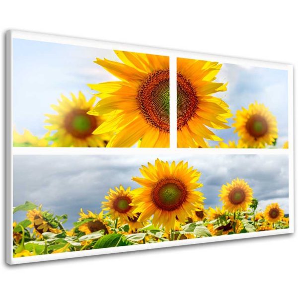 Obraz zářivá slunečnice Obraz zářivá slunečnice