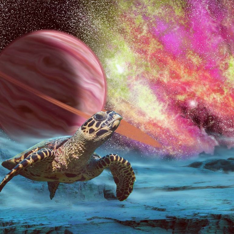 Obraz želva z vesmíru Obraz želva z vesmíru