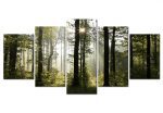 Pětidílné obrazy – lesní spánek Pětidílné obrazy – lesní spánek