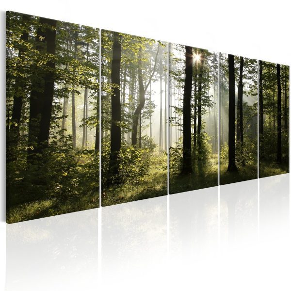 Pětidílné obrazy – vítání lesa Pětidílné obrazy – vítání lesa