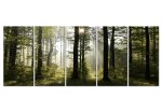 Pětidílné obrazy na stěnu – ráno v lese Pětidílné obrazy na stěnu – ráno v lese