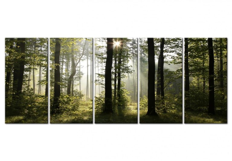 Pětidílné obrazy na stěnu – ráno v lese Pětidílné obrazy na stěnu – ráno v lese