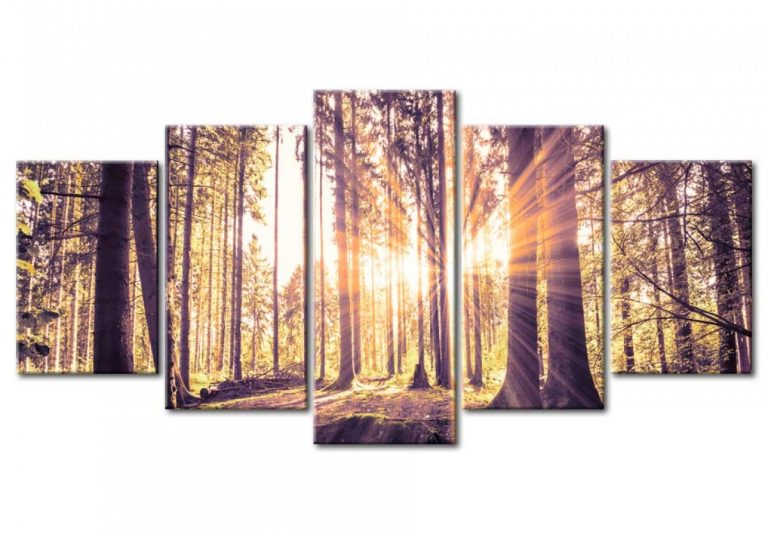 Pětidílné obrazy – vítání lesa Pětidílné obrazy – vítání lesa
