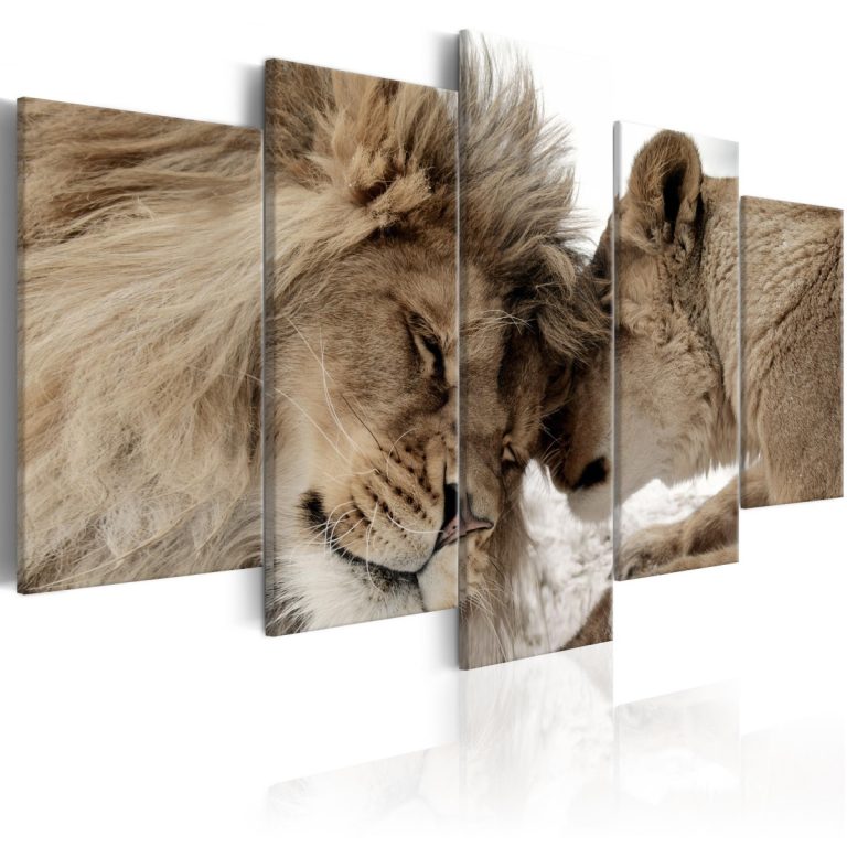 Pětidílný obraz – láska lvů Pětidílný obraz – láska lvů